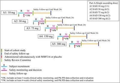 Safety, tolerability, pharmacokinetics, pharmacodynamics, and efficacy of WBP216, a novel IL-6 monoclonal antibody, in patients with rheumatoid arthritis: A phase Ia randomized placebo-controlled study